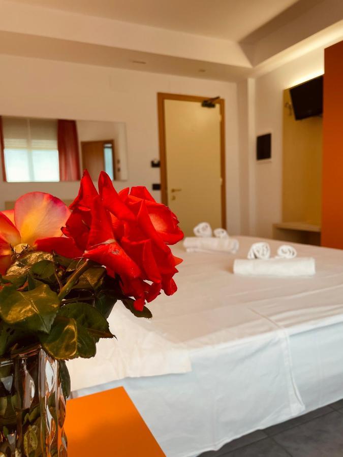 Hotel Grecale - 3*